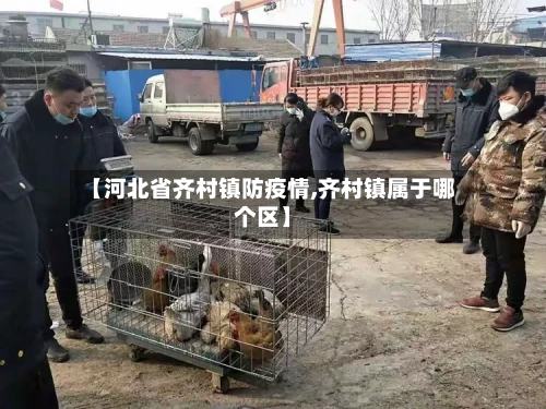 【河北省齐村镇防疫情,齐村镇属于哪个区】-第1张图片