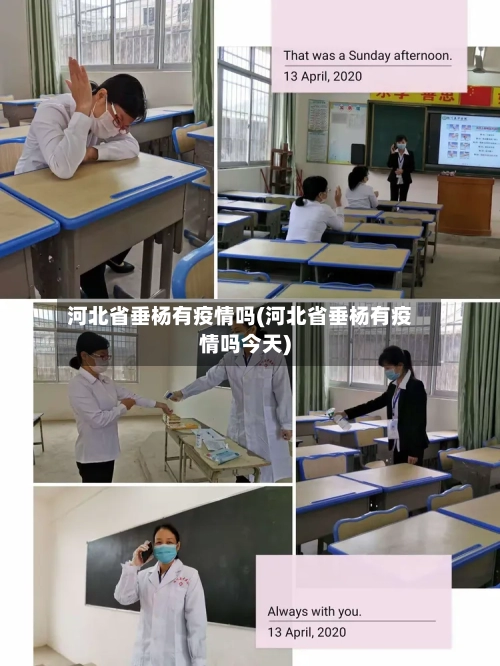 河北省垂杨有疫情吗(河北省垂杨有疫情吗今天)-第1张图片
