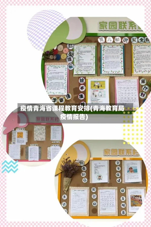 疫情青海省课程教育安排(青海教育局疫情报告)-第3张图片
