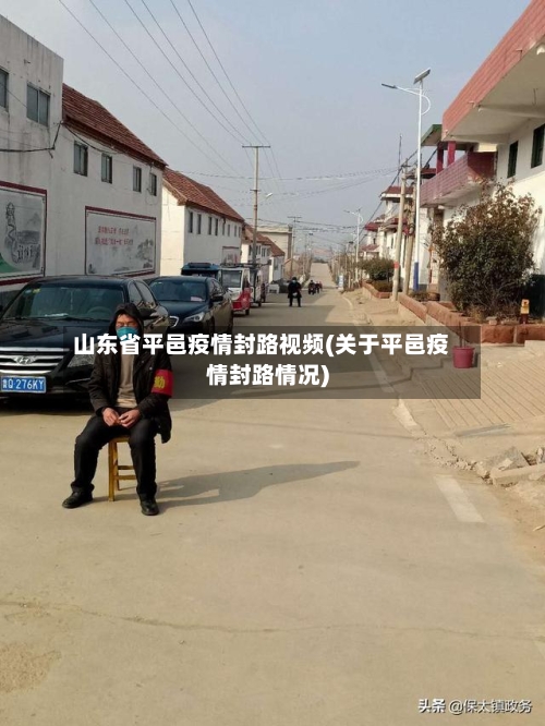 山东省平邑疫情封路视频(关于平邑疫情封路情况)-第3张图片
