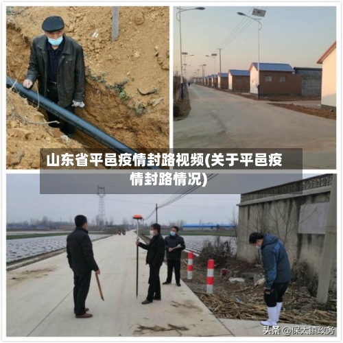 山东省平邑疫情封路视频(关于平邑疫情封路情况)-第1张图片