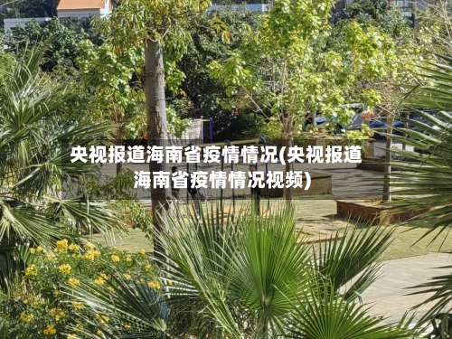 央视报道海南省疫情情况(央视报道海南省疫情情况视频)-第3张图片