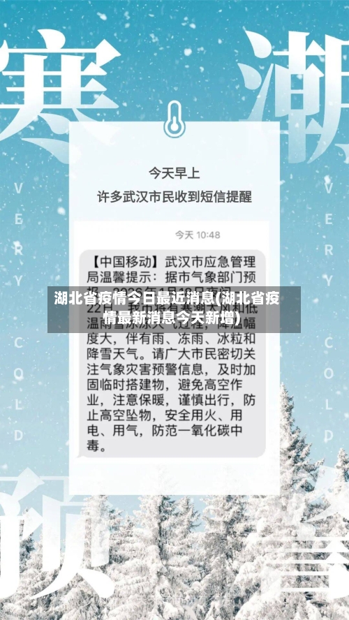 湖北省疫情今日最近消息(湖北省疫情最新消息今天新增)-第1张图片