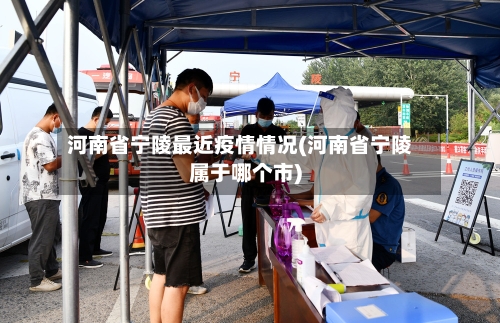 河南省宁陵最近疫情情况(河南省宁陵属于哪个市)-第2张图片