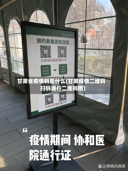 甘肃省疫情码是什么(甘肃疫情二维码扫码通行二维码图)-第1张图片