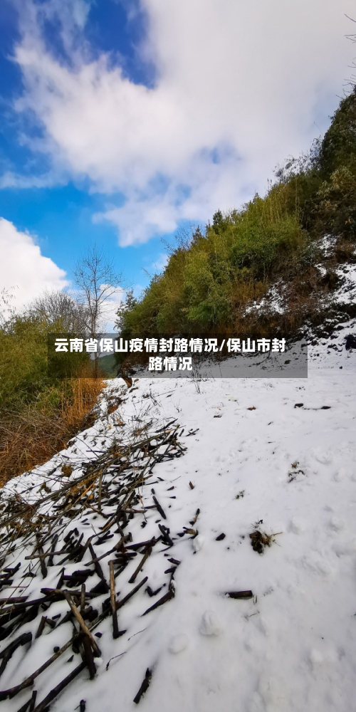 云南省保山疫情封路情况/保山市封路情况-第1张图片