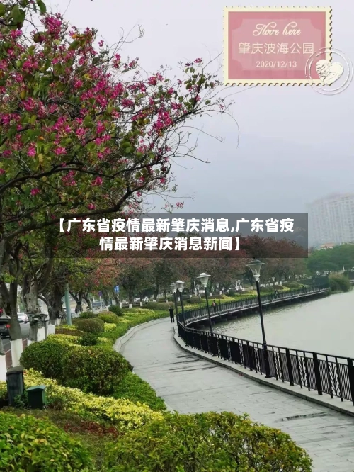 【广东省疫情最新肇庆消息,广东省疫情最新肇庆消息新闻】-第2张图片