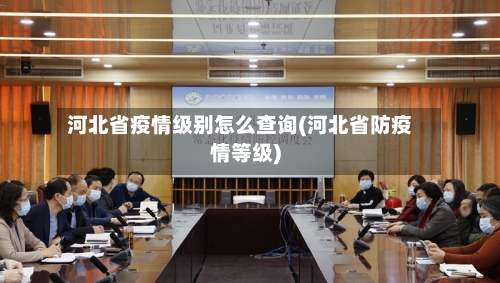 河北省疫情级别怎么查询(河北省防疫情等级)-第2张图片