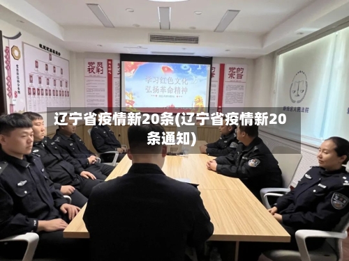 辽宁省疫情新20条(辽宁省疫情新20条通知)-第2张图片