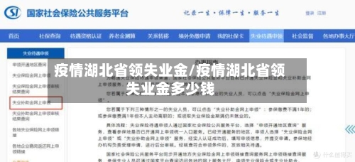 疫情湖北省领失业金/疫情湖北省领失业金多少钱-第1张图片