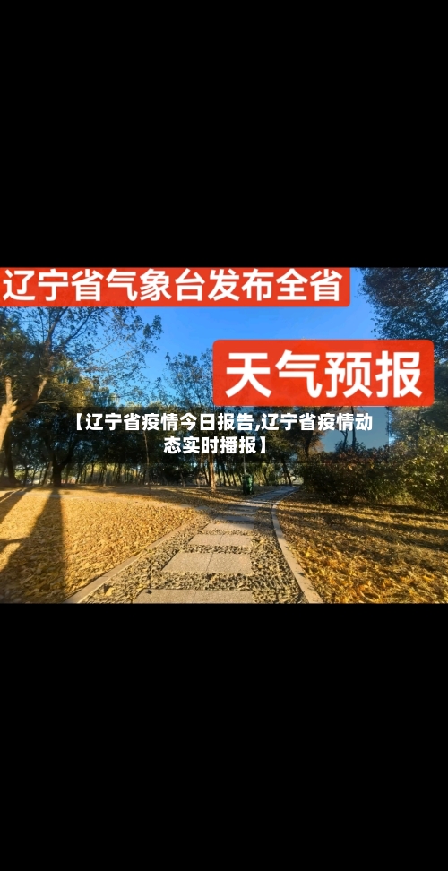 【辽宁省疫情今日报告,辽宁省疫情动态实时播报】-第1张图片