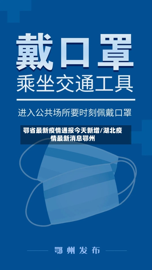 鄂省最新疫情通报今天新增/湖北疫情最新消息鄂州-第3张图片