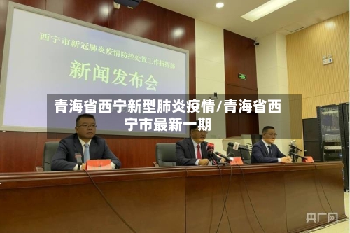 青海省西宁新型肺炎疫情/青海省西宁市最新一期-第2张图片