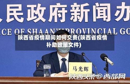 陕西省疫情期间如何交费(陕西省疫情补助政策文件)-第1张图片