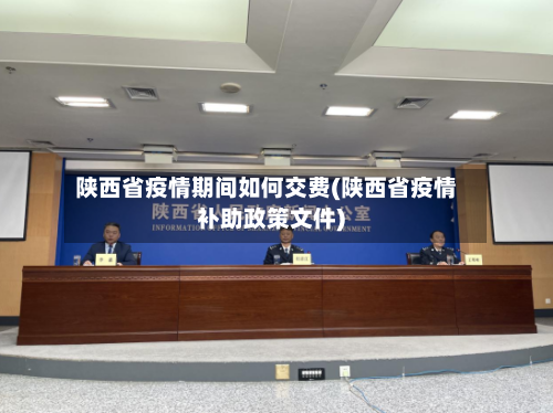 陕西省疫情期间如何交费(陕西省疫情补助政策文件)-第2张图片