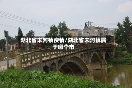 湖北省宋河镇疫情/湖北省宋河镇属于哪个市-第1张图片