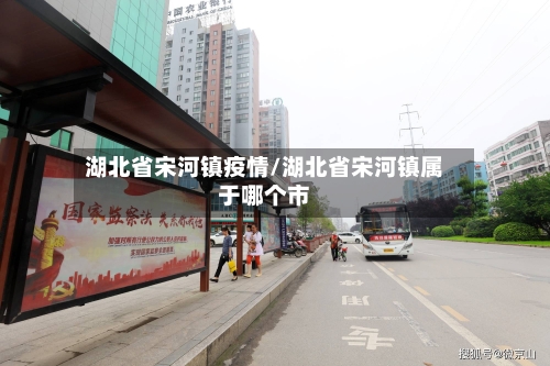 湖北省宋河镇疫情/湖北省宋河镇属于哪个市-第2张图片