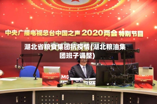 湖北省粮食集团抗疫情(湖北粮油集团班子调整)-第2张图片