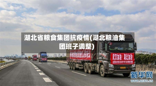 湖北省粮食集团抗疫情(湖北粮油集团班子调整)-第1张图片