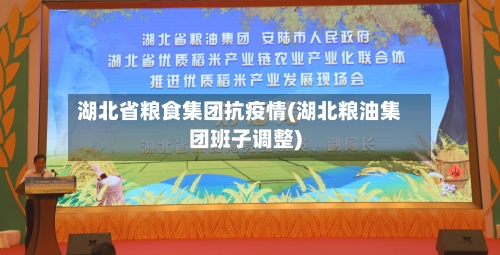 湖北省粮食集团抗疫情(湖北粮油集团班子调整)-第3张图片