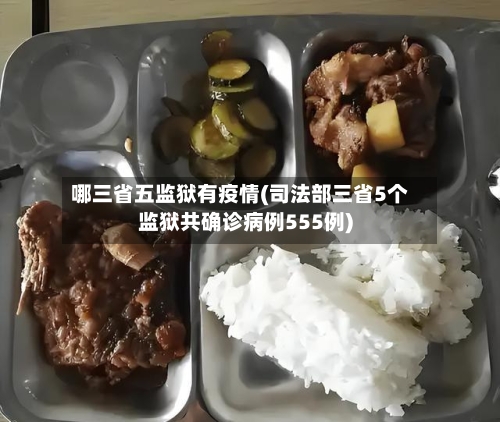 哪三省五监狱有疫情(司法部三省5个监狱共确诊病例555例)-第3张图片