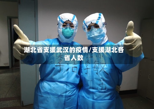 湖北省支援武汉的疫情/支援湖北各省人数-第2张图片