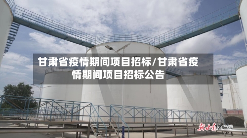 甘肃省疫情期间项目招标/甘肃省疫情期间项目招标公告-第2张图片
