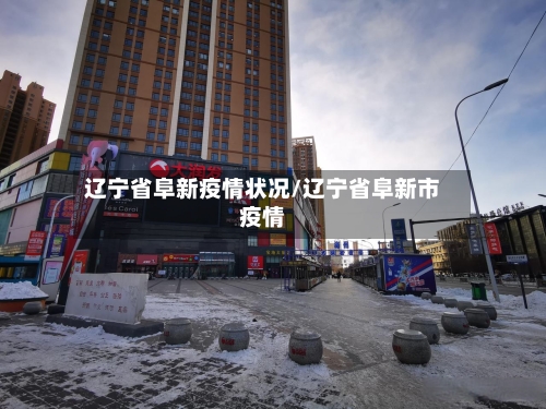 辽宁省阜新疫情状况/辽宁省阜新市疫情-第2张图片