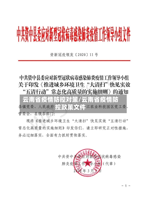 云南省疫情防控对策/云南省疫情防控政策文件-第2张图片