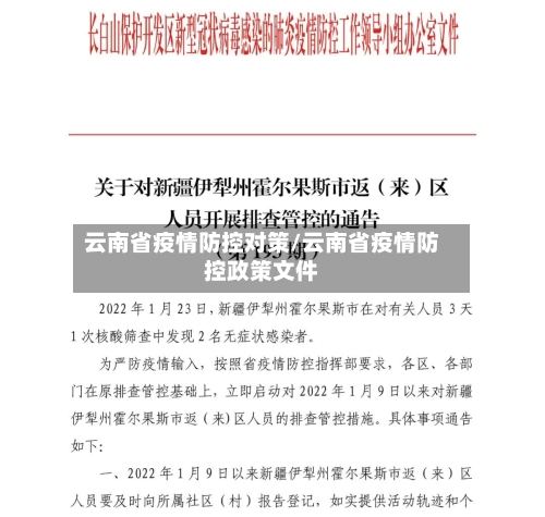云南省疫情防控对策/云南省疫情防控政策文件-第1张图片