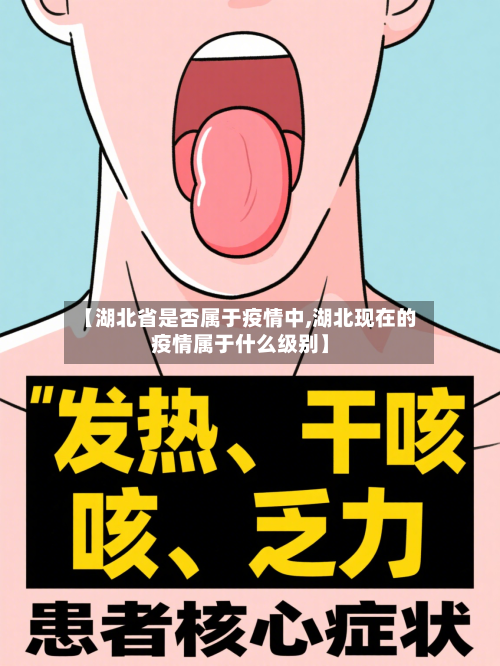 【湖北省是否属于疫情中,湖北现在的疫情属于什么级别】-第1张图片