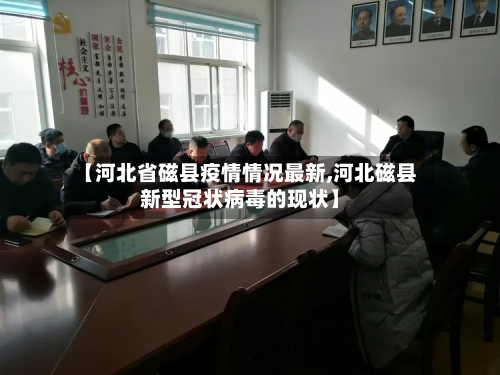 【河北省磁县疫情情况最新,河北磁县新型冠状病毒的现状】-第3张图片