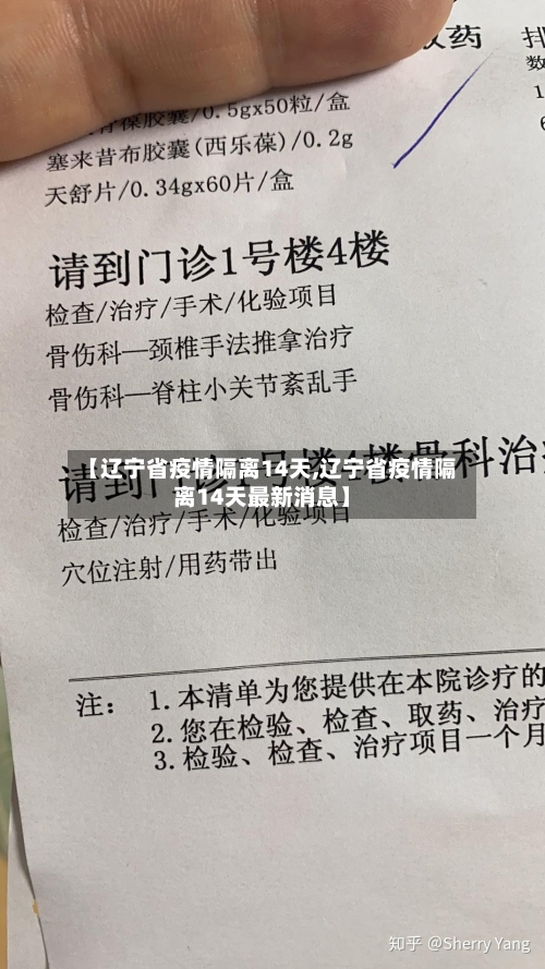 【辽宁省疫情隔离14天,辽宁省疫情隔离14天最新消息】-第1张图片