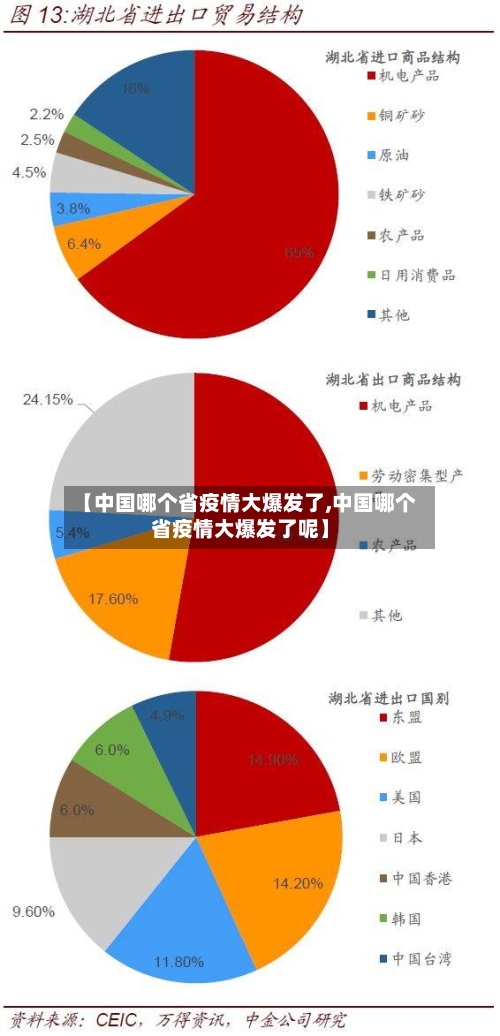 【中国哪个省疫情大爆发了,中国哪个省疫情大爆发了呢】-第3张图片