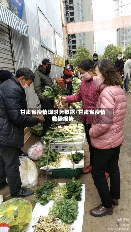 甘肃省疫情现时势数据/甘肃省疫情数据报告-第2张图片