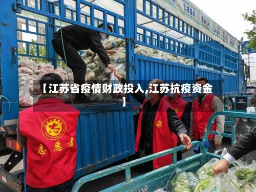 【江苏省疫情财政投入,江苏抗疫资金】-第1张图片