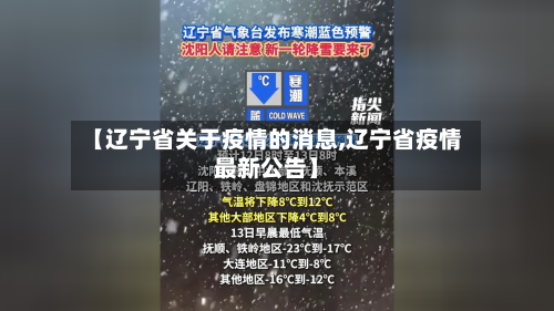 【辽宁省关于疫情的消息,辽宁省疫情最新公告】-第2张图片