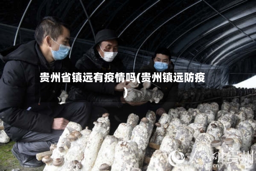 贵州省镇远有疫情吗(贵州镇远防疫)-第1张图片