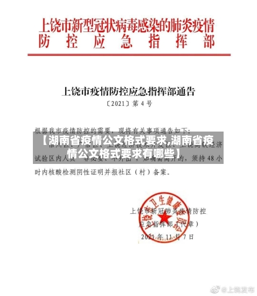 【湖南省疫情公文格式要求,湖南省疫情公文格式要求有哪些】-第2张图片