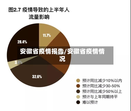 安徽省疫情报告/安徽省疫情情况-第2张图片
