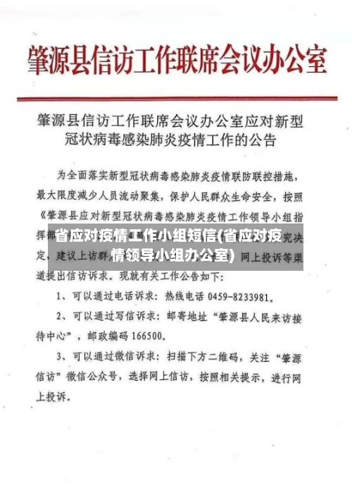 省应对疫情工作小组短信(省应对疫情领导小组办公室)-第1张图片