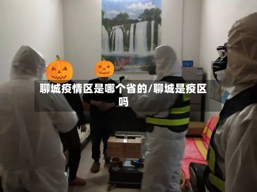 聊城疫情区是哪个省的/聊城是疫区吗-第2张图片