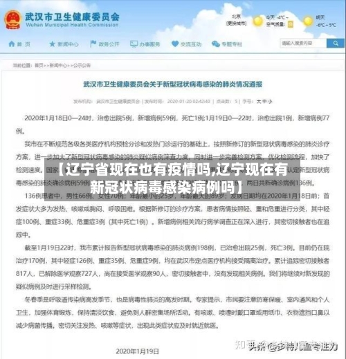 【辽宁省现在也有疫情吗,辽宁现在有新冠状病毒感染病例吗】-第2张图片