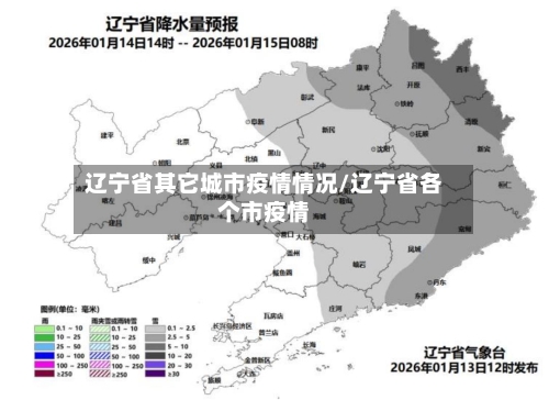 辽宁省其它城市疫情情况/辽宁省各个市疫情-第1张图片