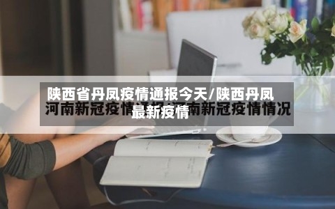 陕西省丹凤疫情通报今天/陕西丹凤最新疫情-第1张图片