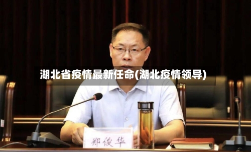 湖北省疫情最新任命(湖北疫情领导)-第3张图片