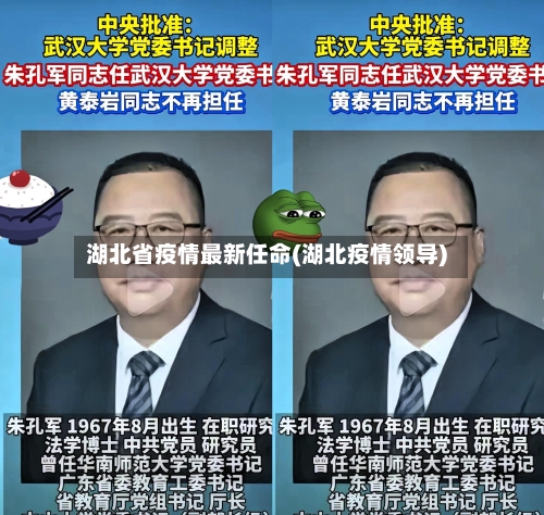 湖北省疫情最新任命(湖北疫情领导)-第2张图片