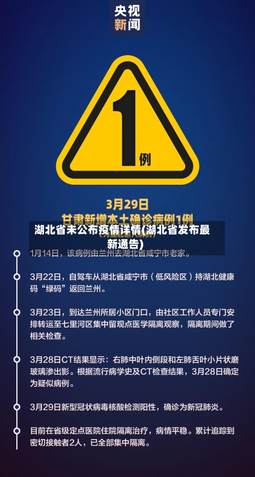 湖北省未公布疫情详情(湖北省发布最新通告)-第2张图片