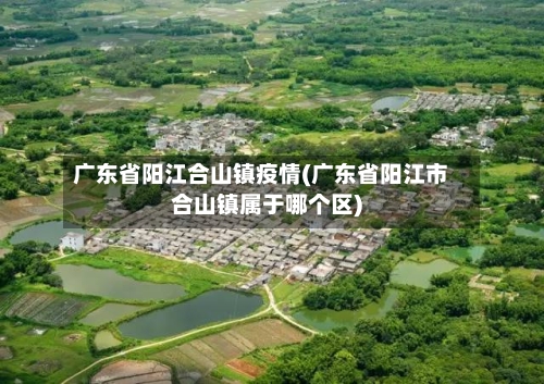 广东省阳江合山镇疫情(广东省阳江市合山镇属于哪个区)-第3张图片