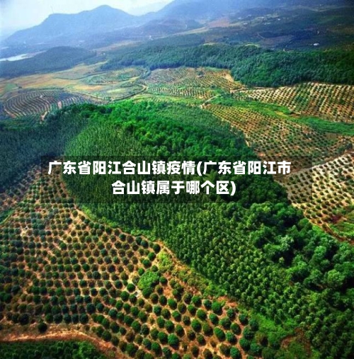 广东省阳江合山镇疫情(广东省阳江市合山镇属于哪个区)-第1张图片